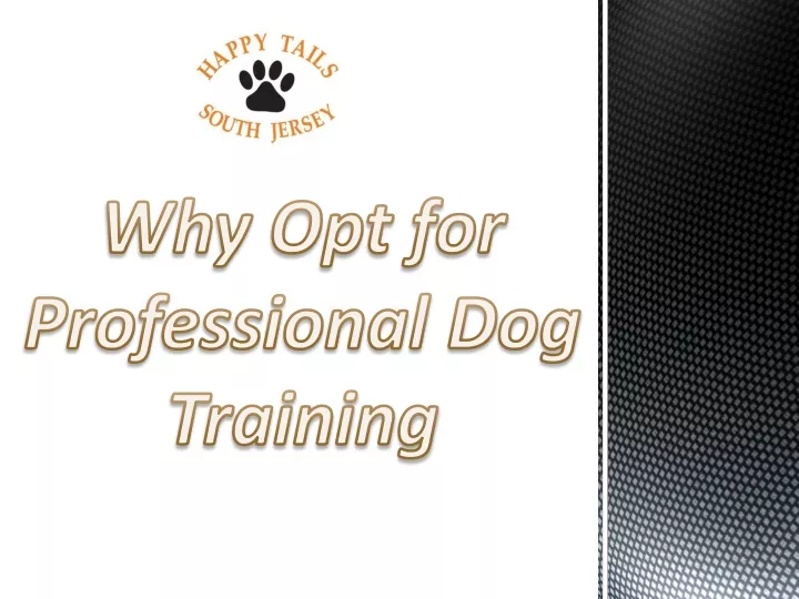 why opt for professional dog training