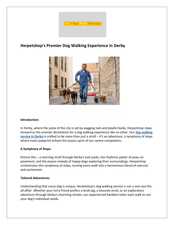 herpetshop s premier dog walking experience