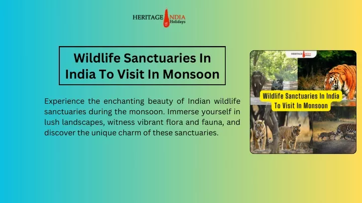 wildlife sanctuaries in india to visit in monsoon