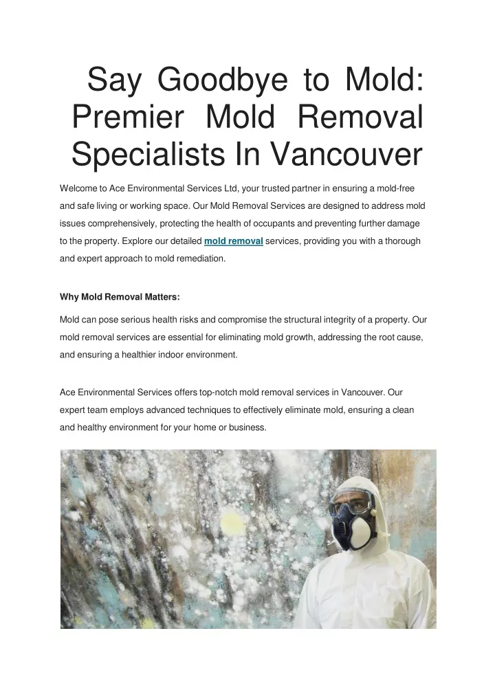 say goodbye to mold premier mold removal