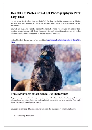 Benefits of Professional Pet Photography in Park City, Utah