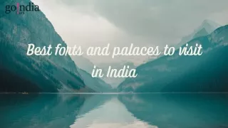 forts and palaces tour packages with go india tours