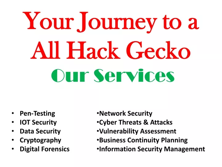 your journey to a all hack gecko