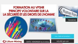 formation au vpshr principe volontaire sur la la s curit et les droits de l homme