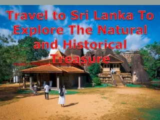 Travel to Sri Lanka To Explore The Natural and Historical Treasure