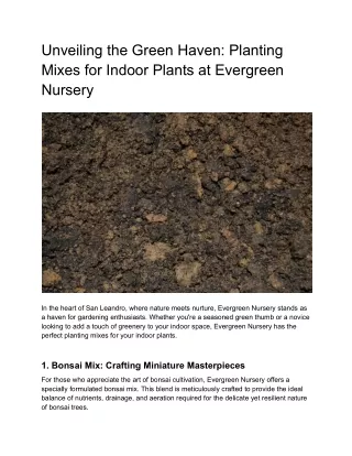 Unveiling the Green Haven_ Planting Mixes for Indoor Plants at Evergreen Nursery
