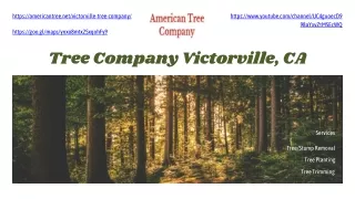 Tree Cutting Company Victorville, CA