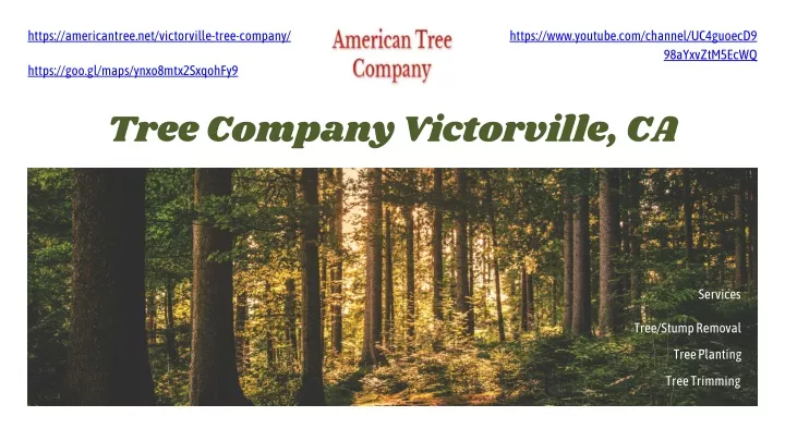 https americantree net victorville tree company