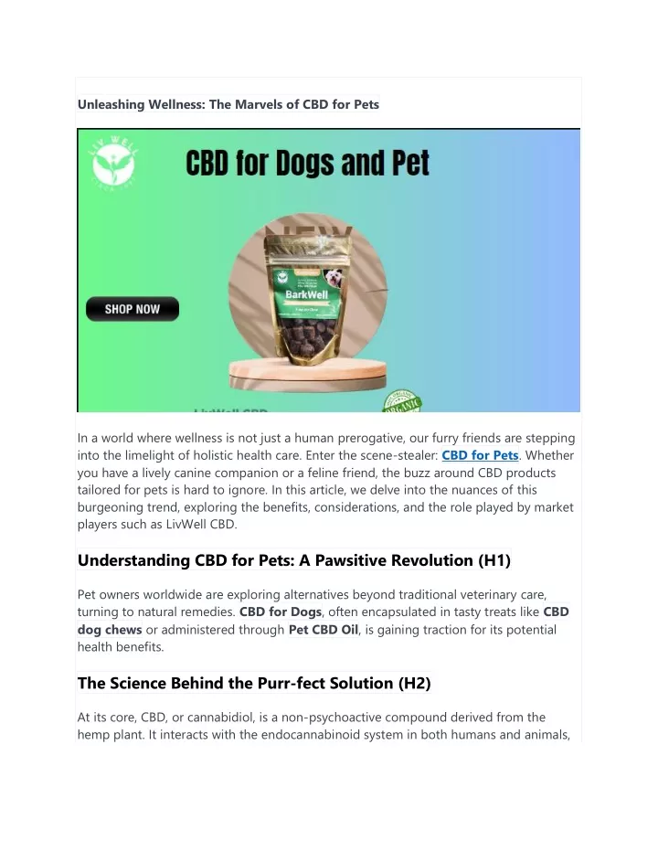 unleashing wellness the marvels of cbd for pets