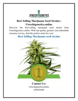 Best Selling Marijuana Seed Strains | Utrechtgenetics.online