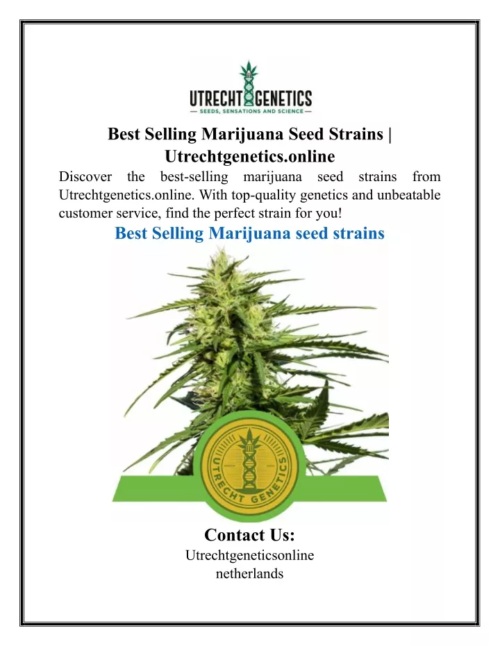 best selling marijuana seed strains