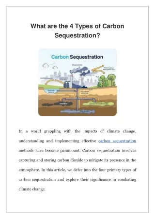 What are the 4 Types of Carbon Sequestration?