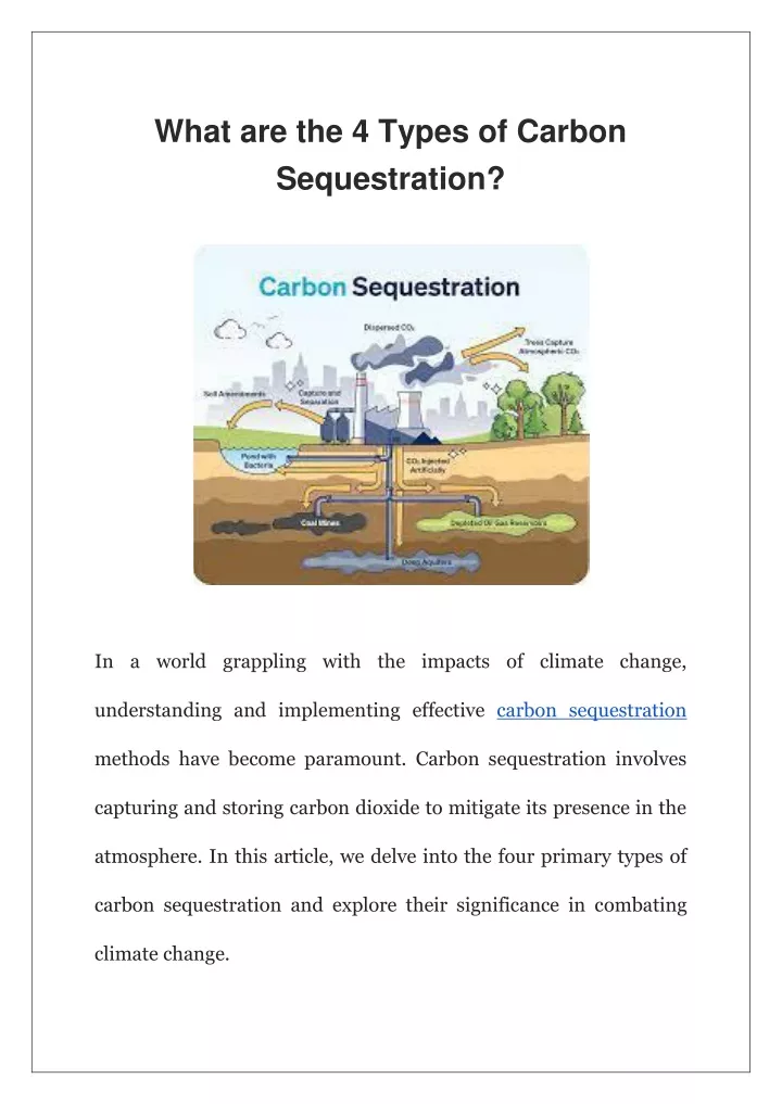 what are the 4 types of carbon sequestration