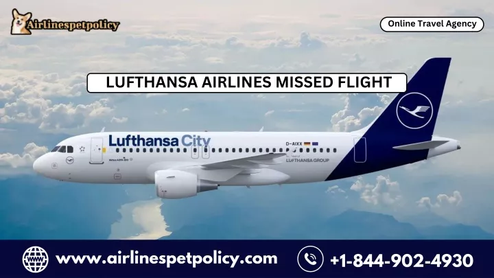 lufthansa airlines missed flight