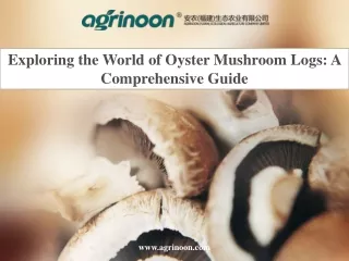Exploring the World of Oyster Mushroom Logs A Comprehensive Guide