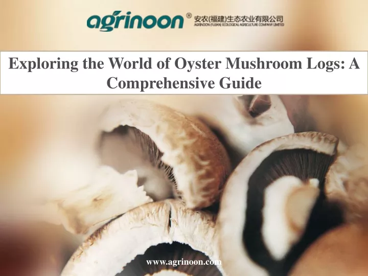 exploring the world of oyster mushroom logs