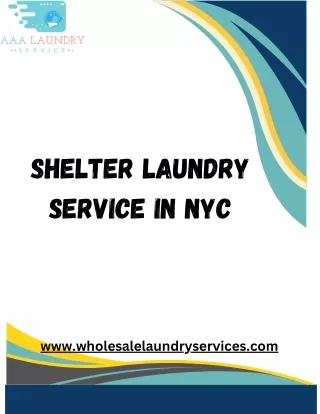 Get Affordable & Professional Shelter Laundry Service in NYC