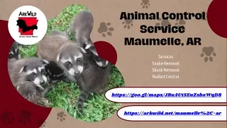 Animal Control Service Maumelle, AR