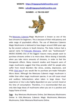 Buy Mexicana Cubensis Magic Mushrooms Online