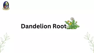 dandelion root