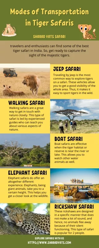 Modes of Transportation in Tiger Safaris