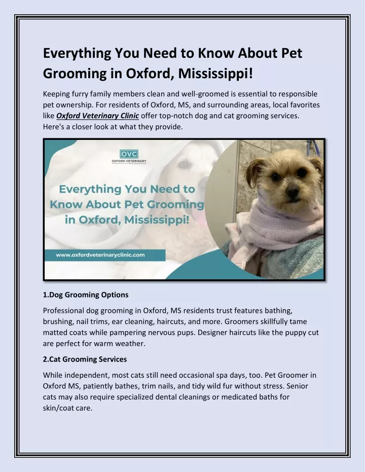 everything you need to know about pet grooming