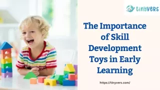 The Importance of Skill Development Toys