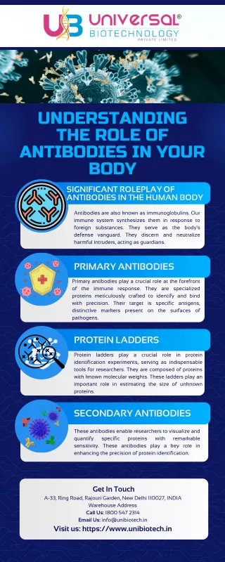 Understanding the Role of Antibodies in Your Body