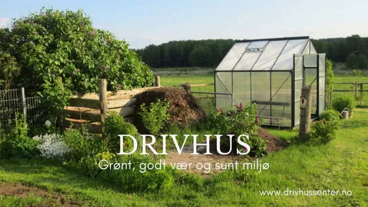 drivhus