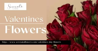 Serenata Flowers's Love Blossoms: Unforgettable Valentines Flowers Collection