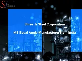 MS Equal Angle Supplier from India