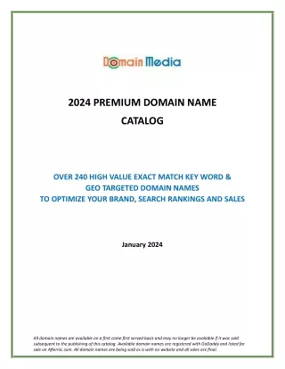 2024 premium domain name