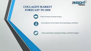 Collagen Market Size Share Growth Trends and Forecast to 2028