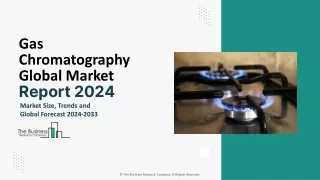 gas chromatography global market report 2024