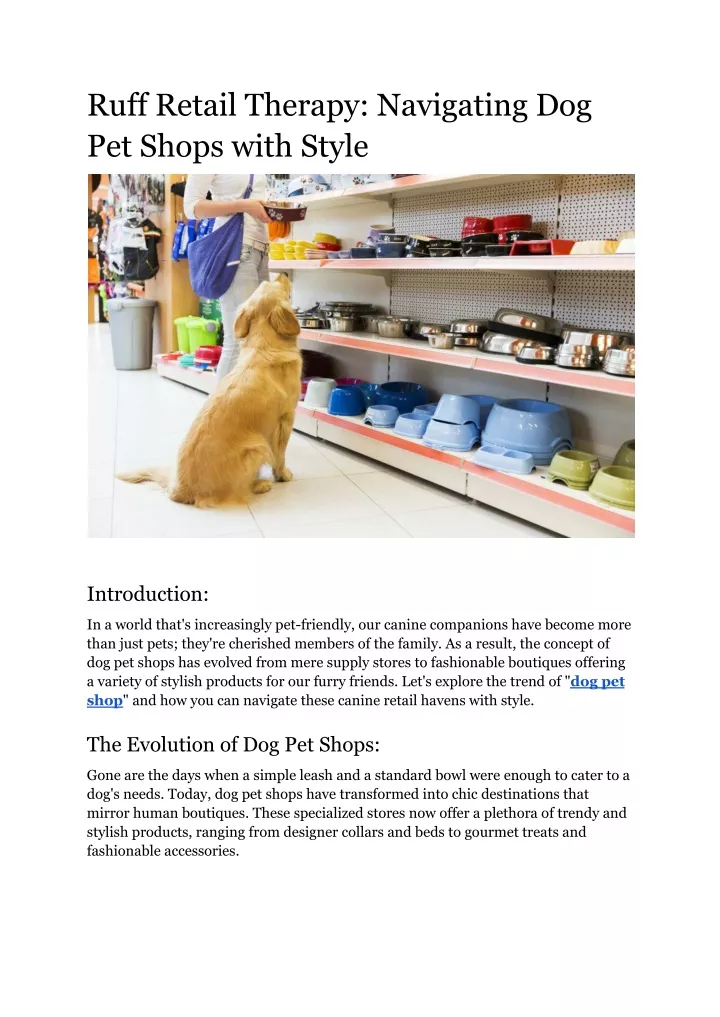 ruff retail therapy navigating dog pet shops with