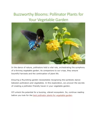 Best pollinator plants for vegetable garden