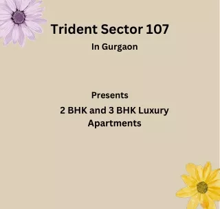 Trident Sector 107 at Dwarka Expressway, Gurgaon