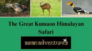 Birding In Munsiyari | Places To Visit In Munsiyari | Kumaon Tour Package