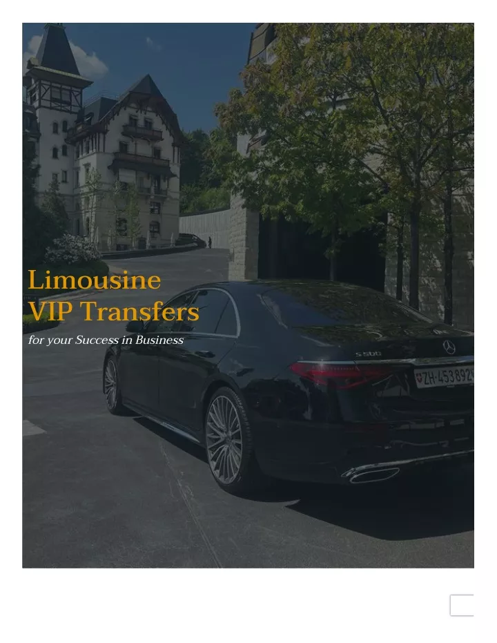 limousine vip transfers for your success