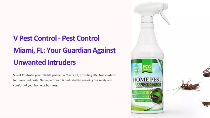 v pest control pest control miami fl your