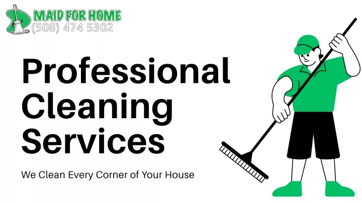 professionalcleaning services