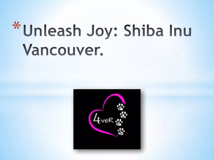 unleash joy shiba inu vancouver