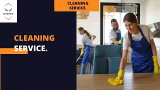 Bugxen Cleaning Service (2)