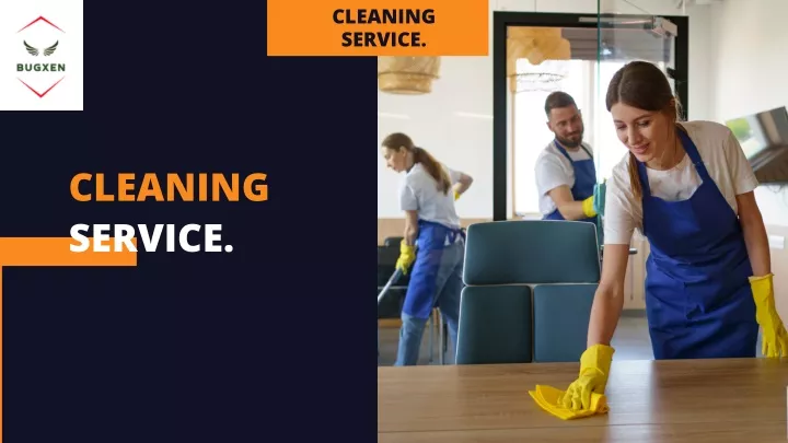 cleaning service