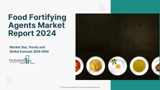 food fortifying agents market report 2024