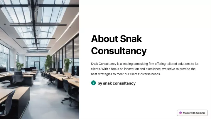 about snak consultancy