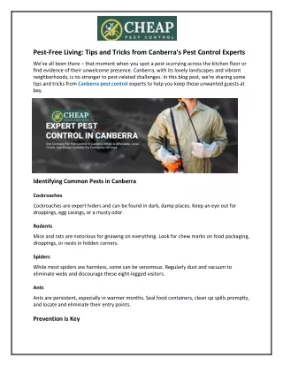 pest free living tips and tricks from canberra