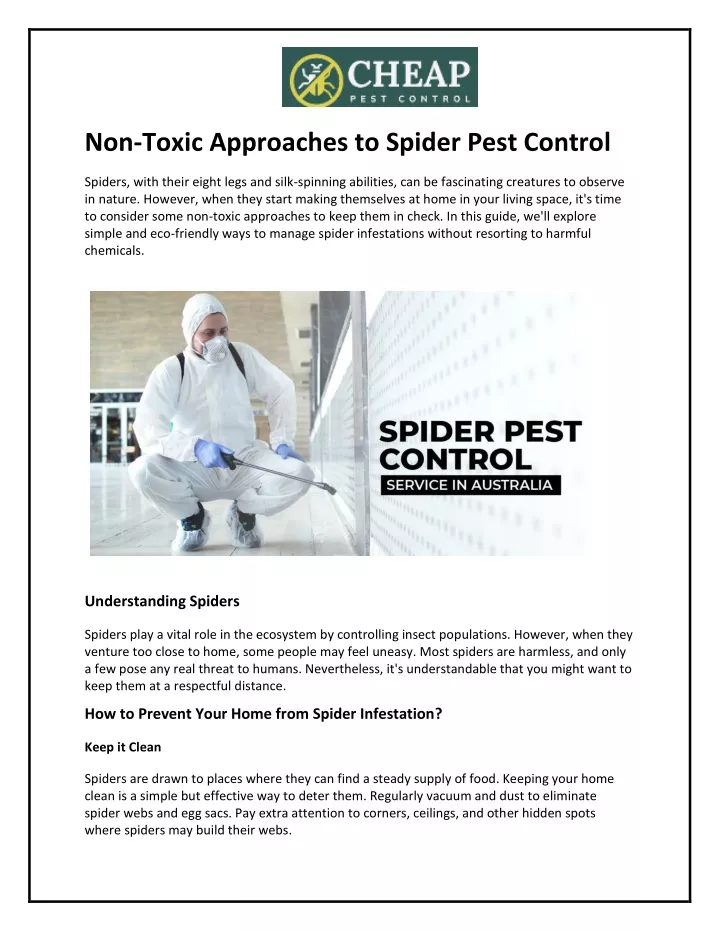 non toxic approaches to spider pest control