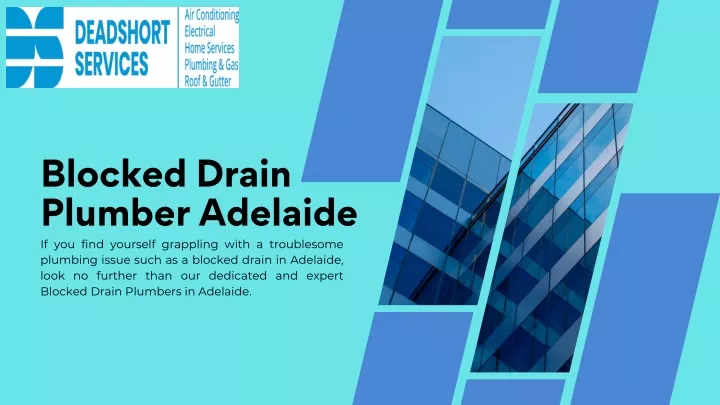 blocked drain plumber adelaide if you find