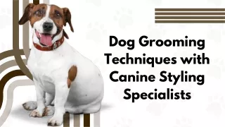 Professional Pet Care Services